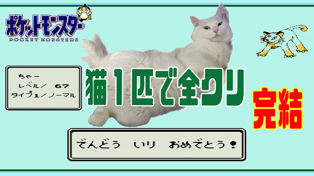 【ポケモン実況】初代緑・ペルシアンのみで全クリを目指すpart5　完結（猫出し顔出しアリ）