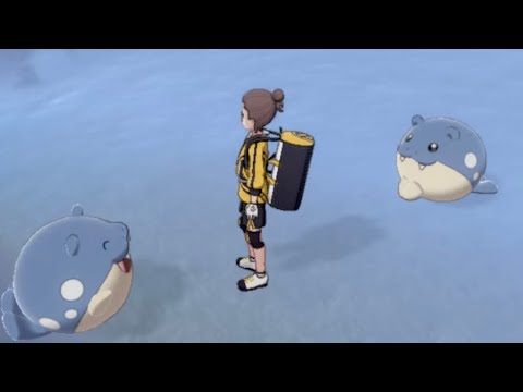 野生のタマザラシが陸でお出迎えしてくれたよ