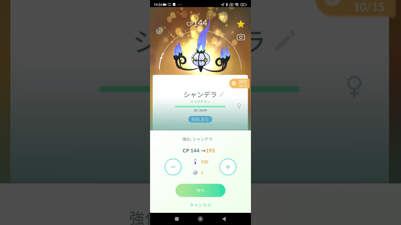 オンバットのコミディだが、シャンデラムキムキにしていく!