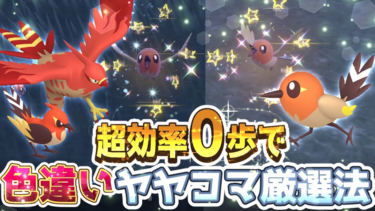 【ポケモンSV】ヤヤコマ色違い厳選方法【ポケモンスカーレットバイオレット】