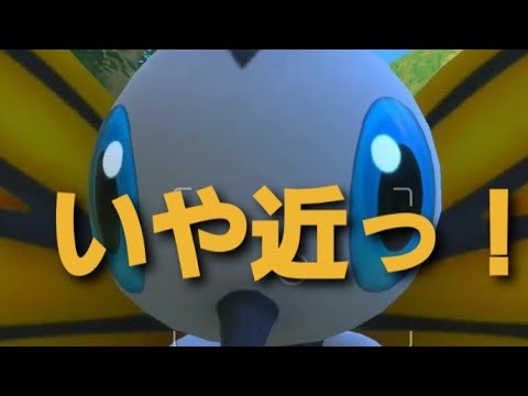 【ポケモンスナップ】アゲハントの距離がガチ恋距離すぎてキュン死した