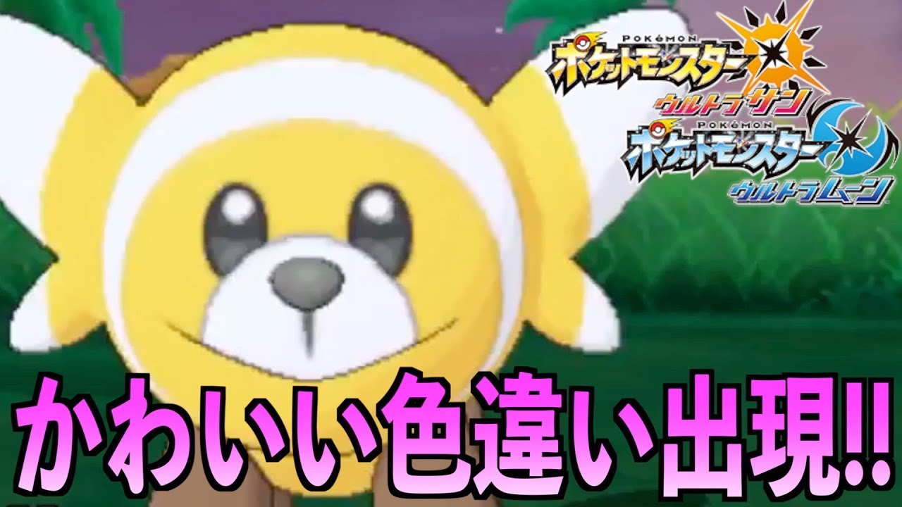 【神回】朝方に色出現！長かった色キテルグマ＠ポケモンUSM