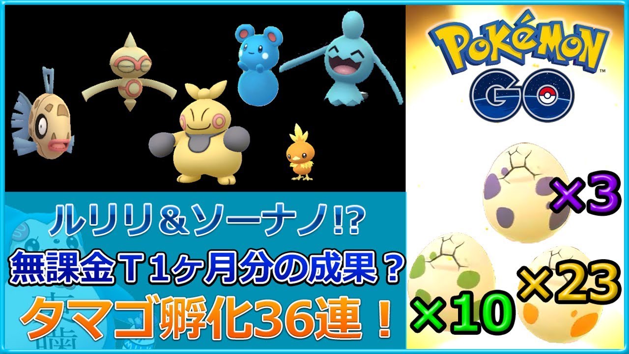 【ポケモンGO】ルリリ＆ソーナノ＆第3世代ナニ出たノ？タマゴ孵化36連（1ヵ月分）