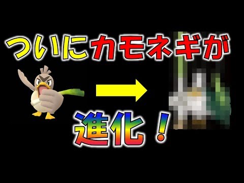 【ポケモン】23年の時を経てカモネギが進化！！　ポケGOでも個体値を厳選しておこう！