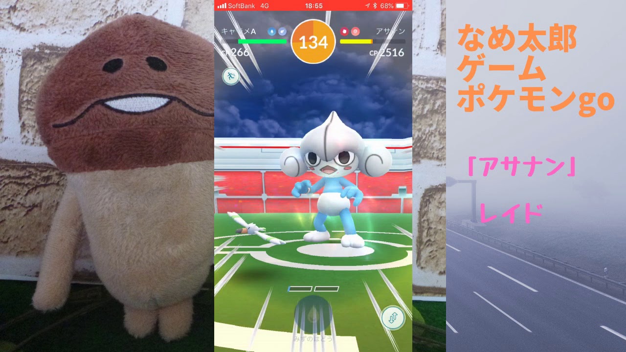 【ポケモンgo】なめ太郎の今日のレイド「アサナン」、キラ、弱いポケモンで挑む！