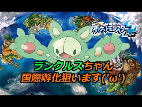 【Live】ランクルスちゃん国際孵化計画