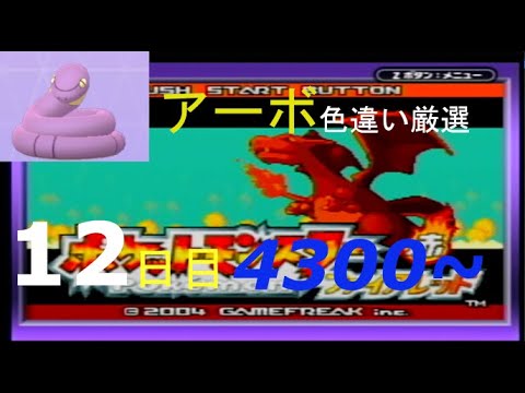 【金のガラガラヘビ】新米配信者のアーボ色違い厳選(12日目) 4300~【ポケモンFRLG】