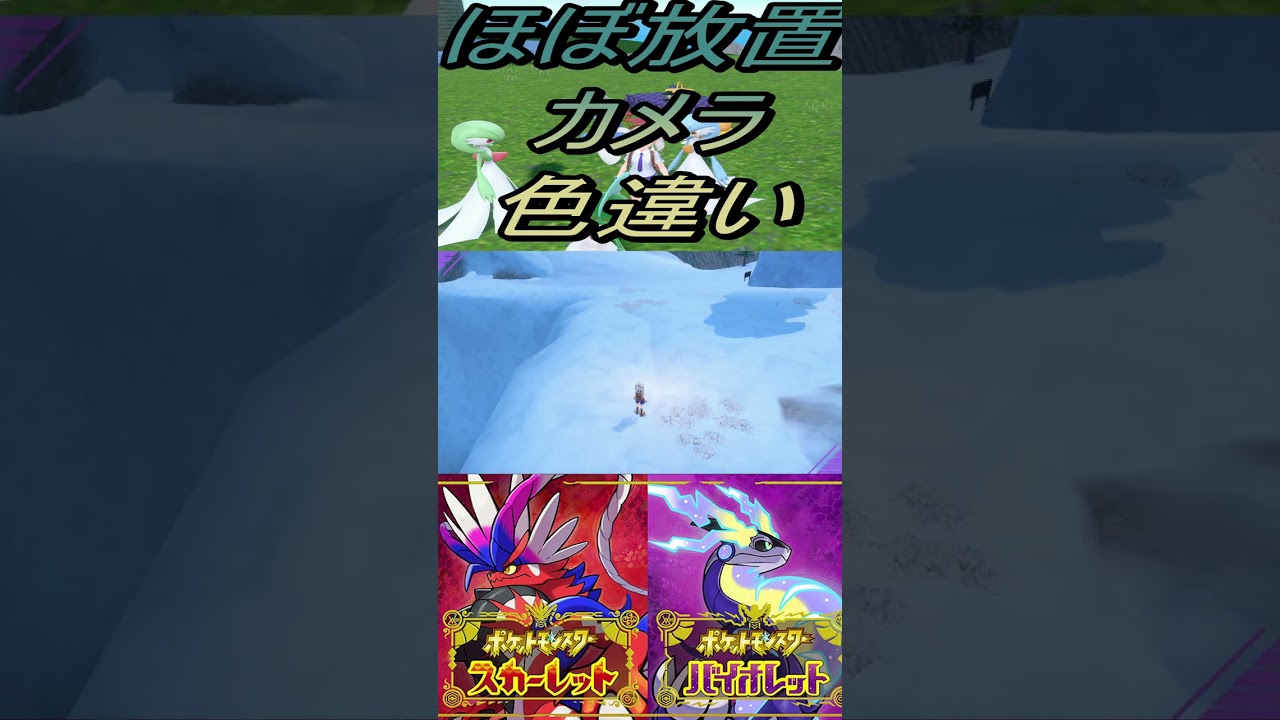 ほぼ放置カメラ色違いラルトス、キルリア、サーナイト、最強ゲッコウガレイド対策のエルレイド入手【ポケットモンスタースカーレット・バイオレットSV】#shorts