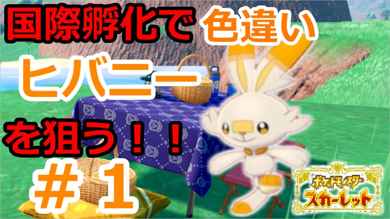 【ポケットモンスター　スカーレット】　国際孵化で色違いヒバニーを厳選する配信　【雑談枠】