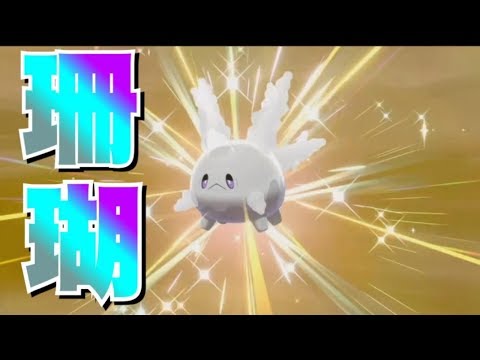 夢特性で欲しい！　色違いサニーゴを出して発狂する男　【ポケモン剣盾】