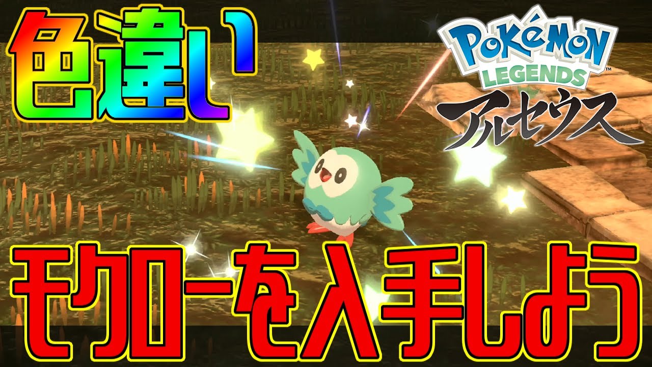 【ポケモンアルセウス】色違いモクローを入手しよう【Pokémon LEGENDS アルセウス】