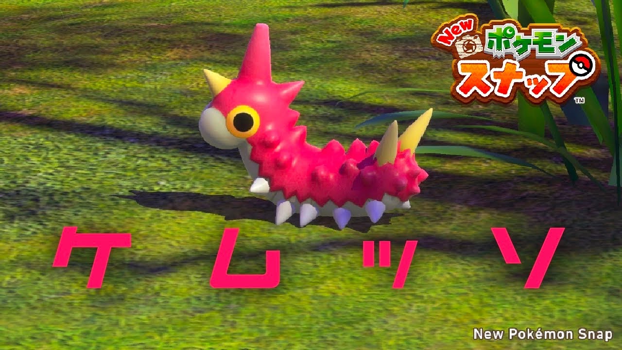 ケムッソを見つけてうるさい人 【New ポケモンスナップ】