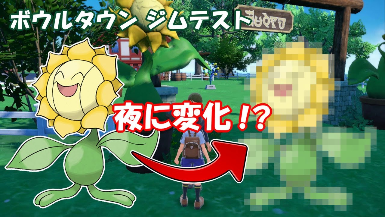 【小ネタ】必見！ボウルジムテストを夜に行くとキマワリに変化が！？【ポケモンSV】