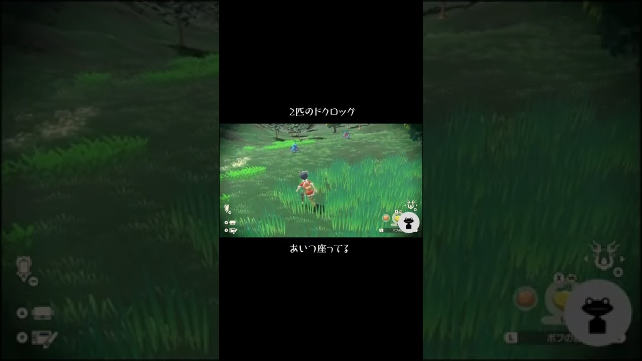 【ポケモン　アルセウス】2匹のドクロッグ #Shorts