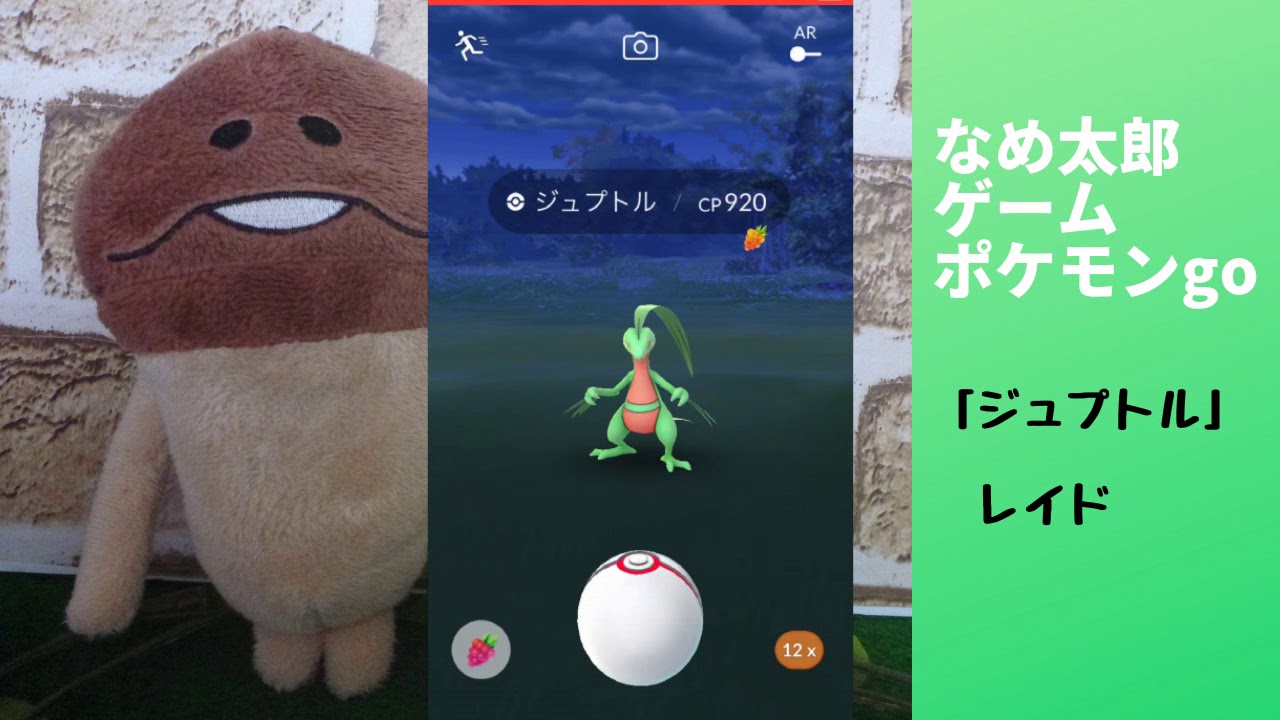 なめ太郎の今日のレイド「ジュプトル」ゲットだぜ。【ポケモンgo】