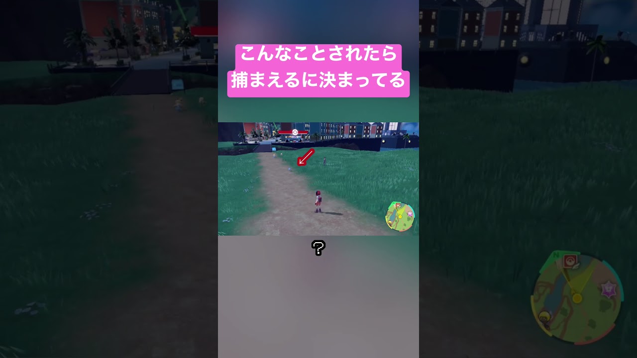 世界一可愛いマリル登場 #ポケモンsv