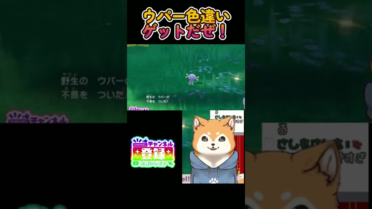 【ポケモンSV】開幕ウパー色違いゲットしたわん🐕✨ #shorts 【#切り抜きゆう / #犬ゆうライブ 】
