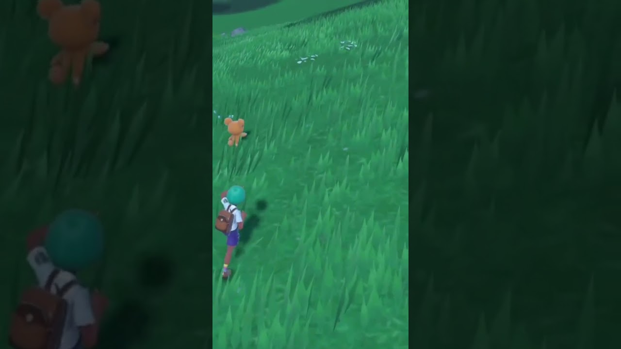【ポケモンSV】ありゃりゃ #shorts #ポケモン #ヒメグマ