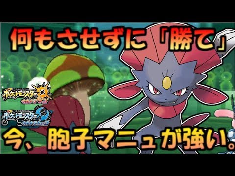 天敵が減り、猫の手マニューラの時代が来ました【ポケモンUSUM】