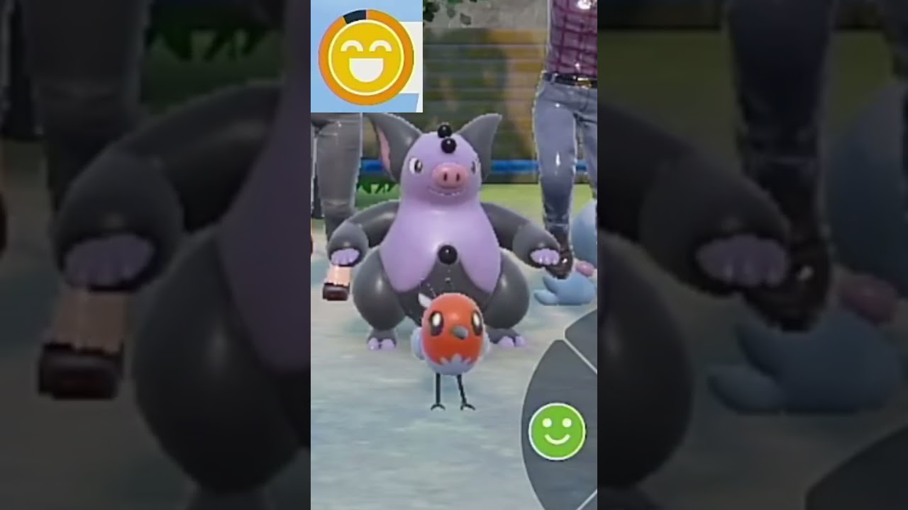 【ヤヤコマ】ポケモンエクササイズ【パルデア図鑑No.19】#Shorts