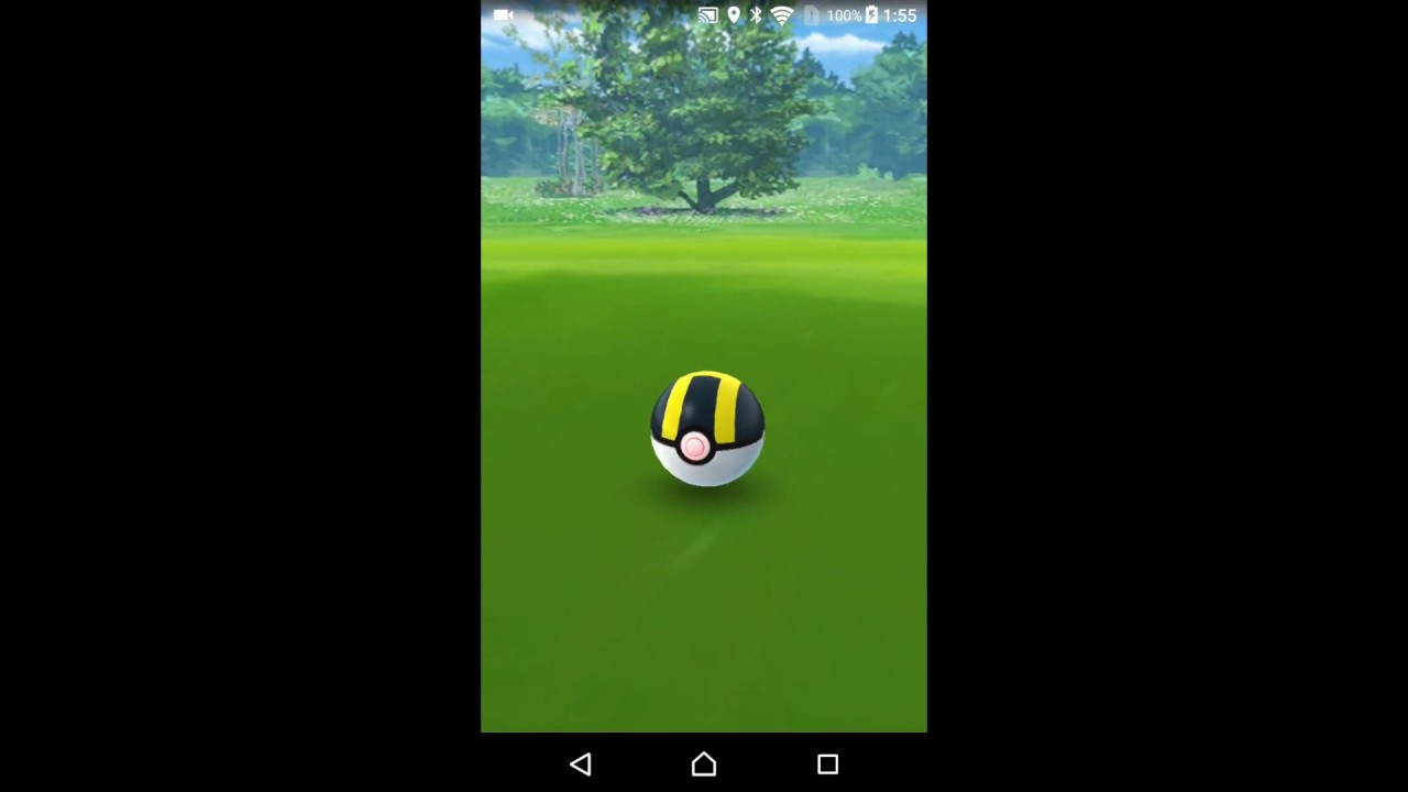 【個体値100%】100%色違いヤンヤンマをメガヤンマに進化【ポケモンGO】