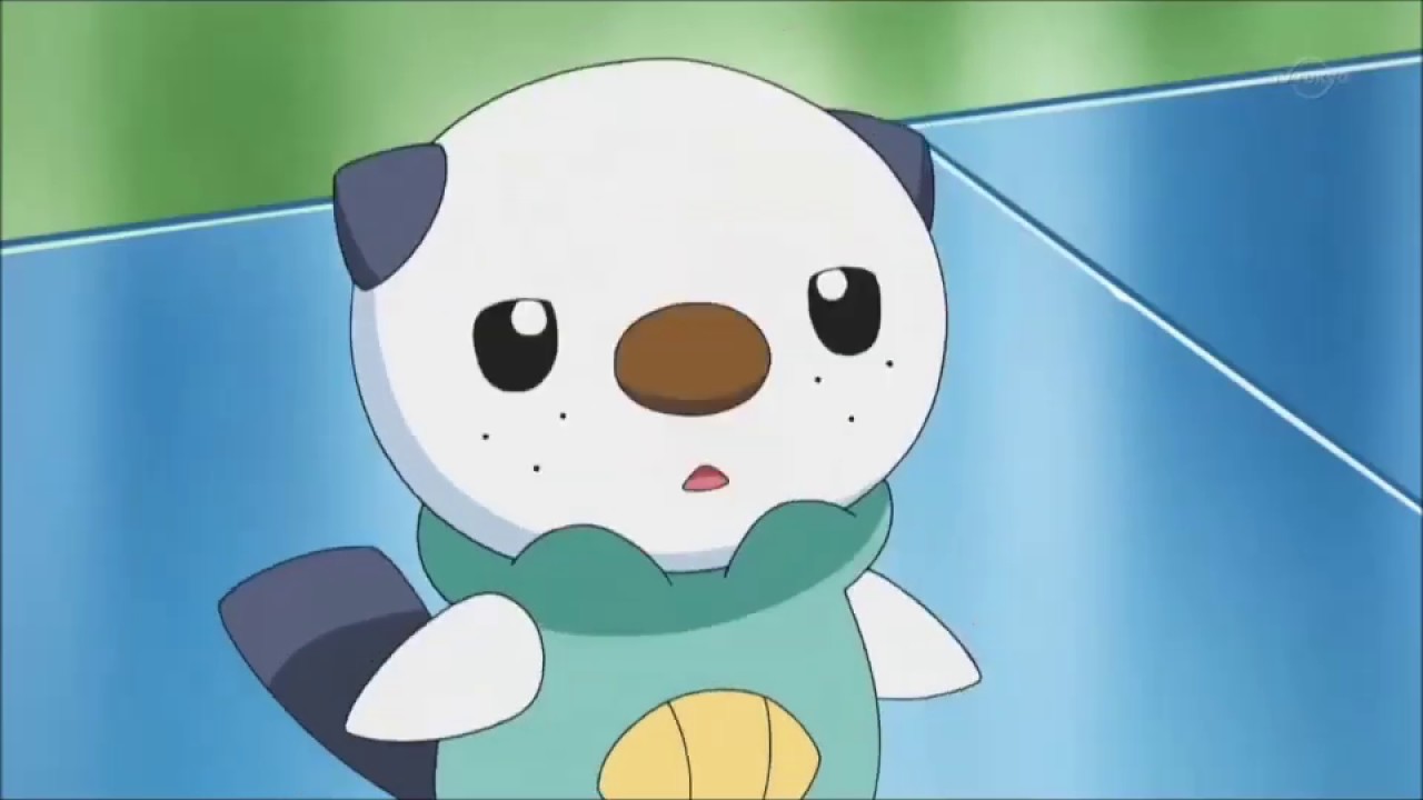 ミジュマルに会う