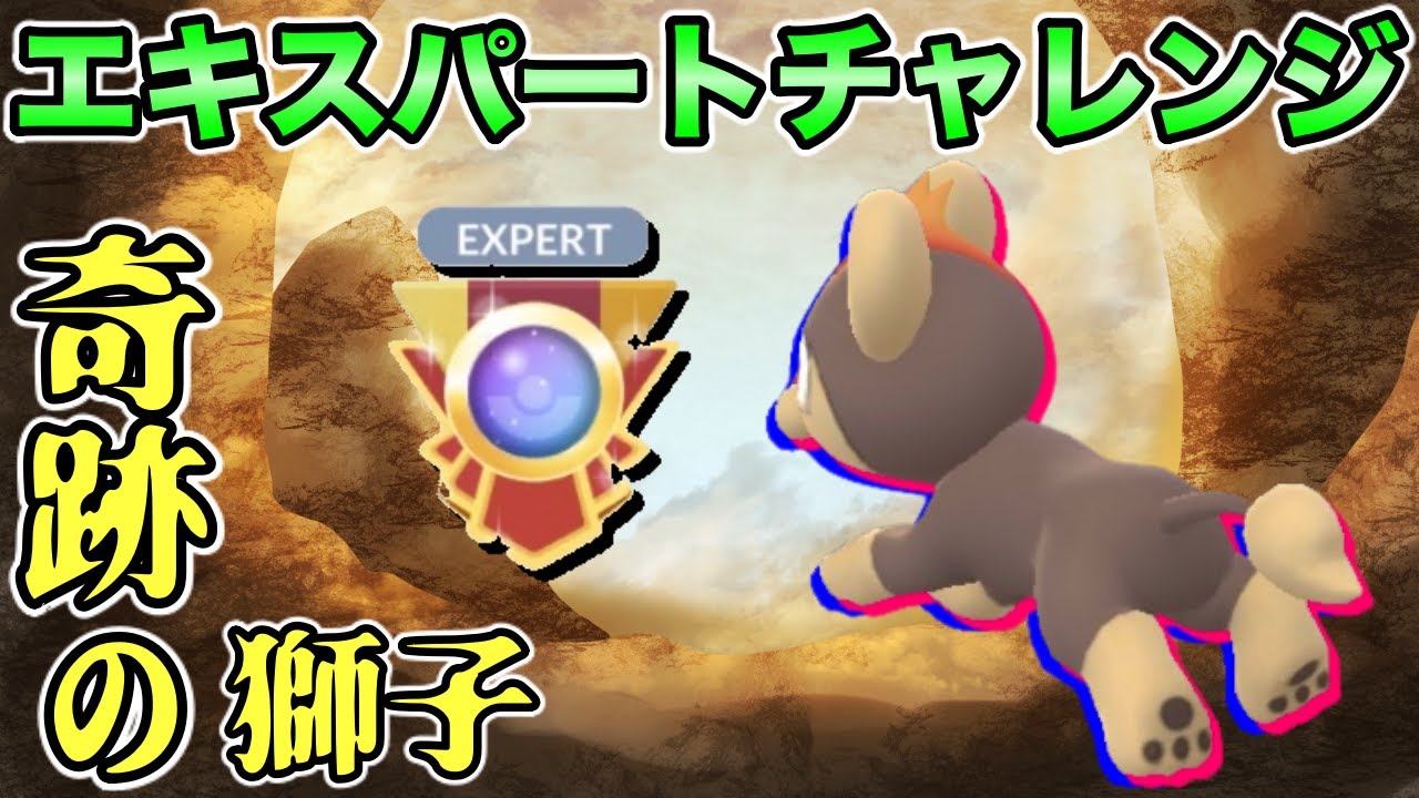 【ポケモンGO】エキスパートチャレンジ！結局シシコが一番強い！【ホリデーカップ 】