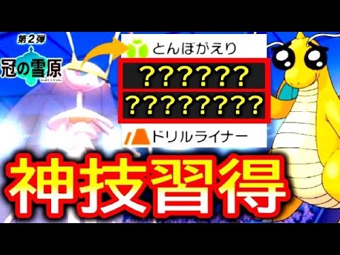 "最強技"を習得した「フェローチェ」のせいで、「カイリュー」が全く息してない件【ポケモン剣盾・冠の雪原】