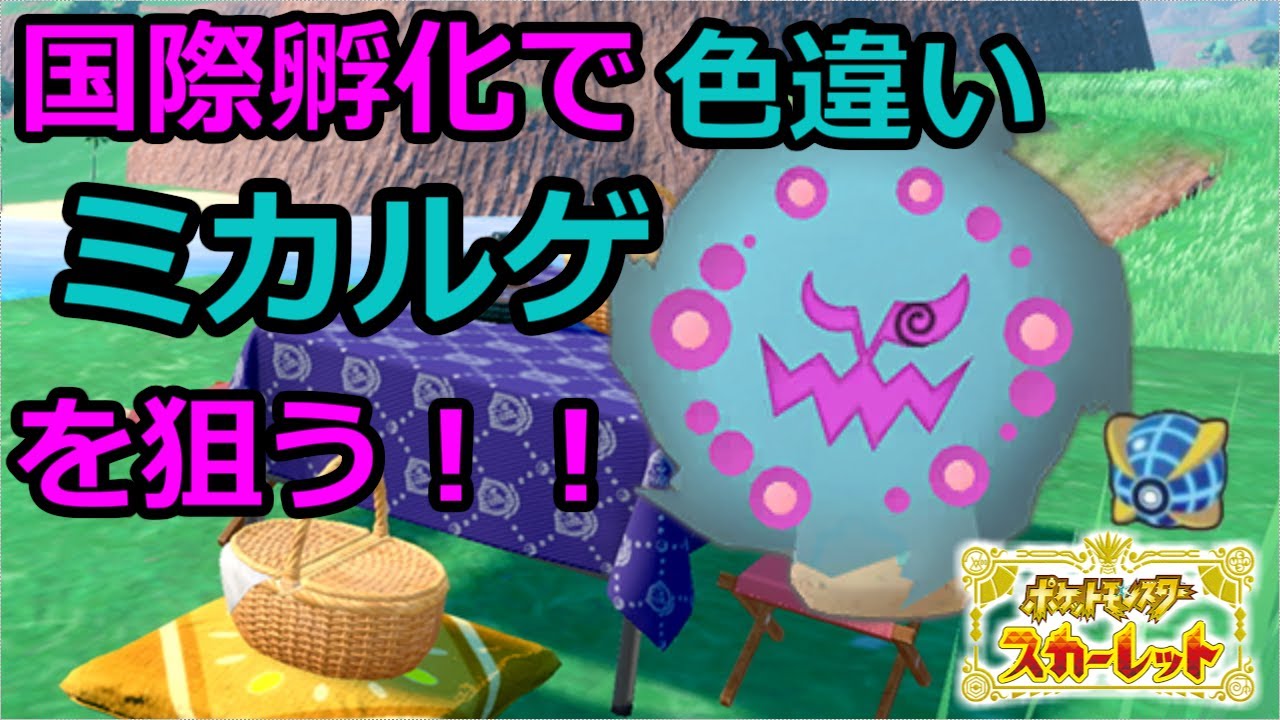 【ポケットモンスター　スカーレット】　国際孵化で色違いミカルゲを厳選する配信　【雑談枠】