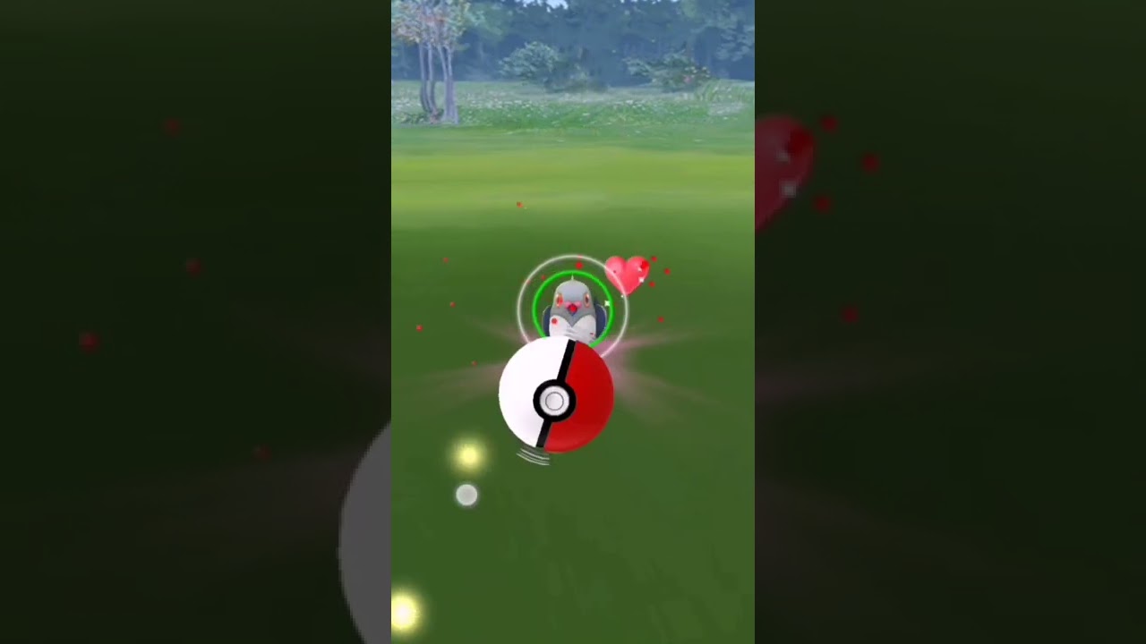 【ポケモンGO】色違いマメパト✨ #shorts
