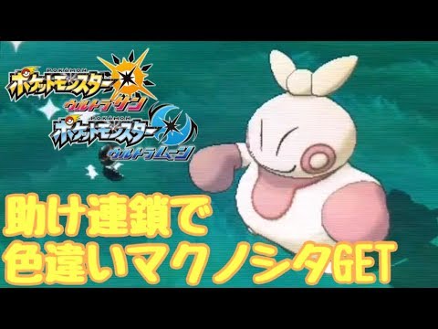 【ポケモンUSUM】助け連鎖で色違いマクノシタGET！【ウルトラサン・ウルトラムーン】