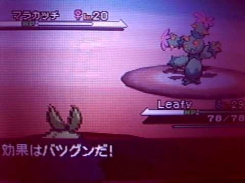 NDS POKEMON WHITE JPN   LEAFY EVOLUTION TO HAHAKOMORI   DESDE CHILE