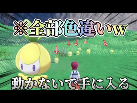 放置してるだけで色違いチュリネがホイホイ手に入るw 【ポケモンSV】