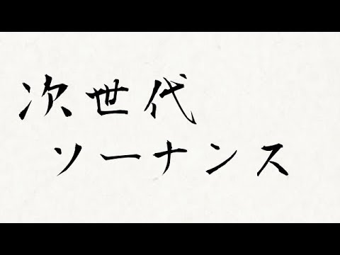 【ポケモンUSUM】次世代ソーナンスはバシャーモと相性が良い