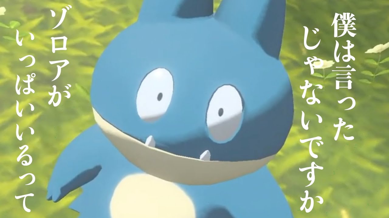 我が愛しのゴンベべべべべべ