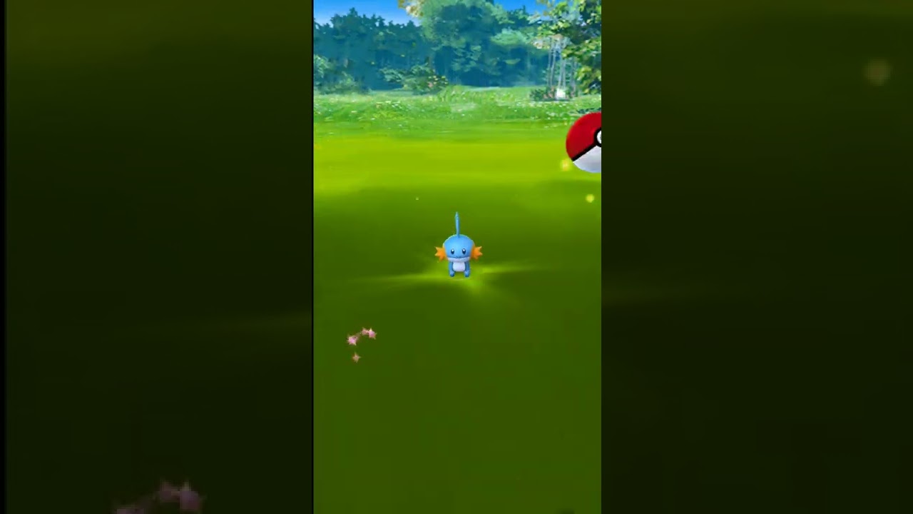 【ポケモン】ミズゴロウとの可愛すぎるキャッチボール【GO】#shorts