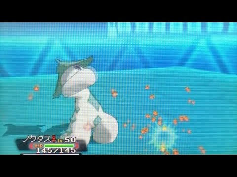 【ORASフリーバトル】ノクタス大活躍