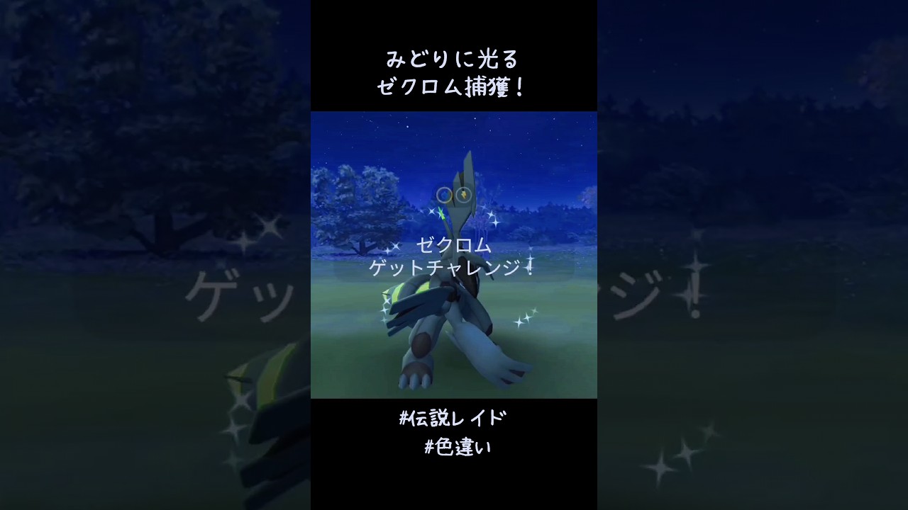 みどりに光るゼクロム捕獲✨✨✨キュレム！レシラム！ゼクロム！色違いコンプ🥳#ポケモンGO #伝説レイド #色違い