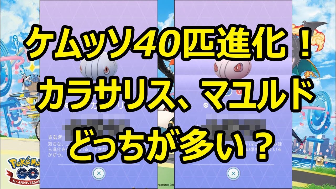 【ポケモンGO】ケムッソ40匹一気に進化、カラサリスとマユルド、どっちが多い？
