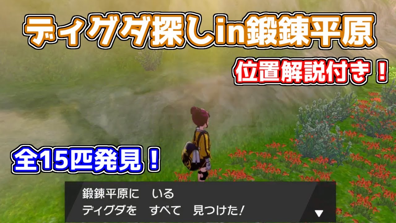 鍛錬平原のディグダの位置解説！エリア内15匹発見！ディグダ150匹【ポケモン剣盾】ゆっくり解説