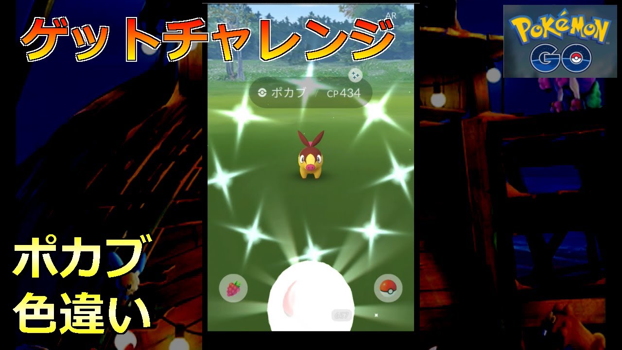【ポケモンGO】ゲットチャレンジ ポカブ 色違い