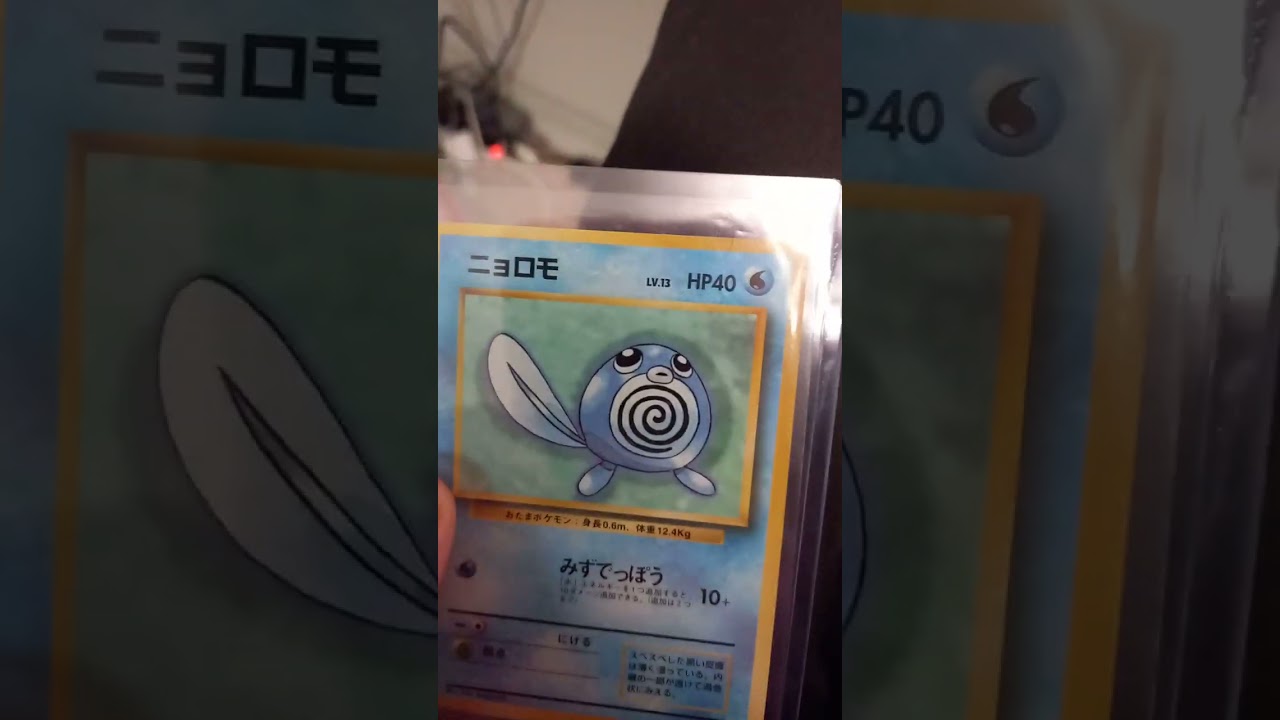 I got japanese pollywag