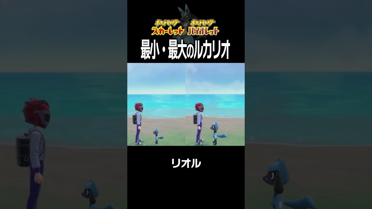 【大きさ比較】ルカリオ編【ポケモンSV】#Shorts
