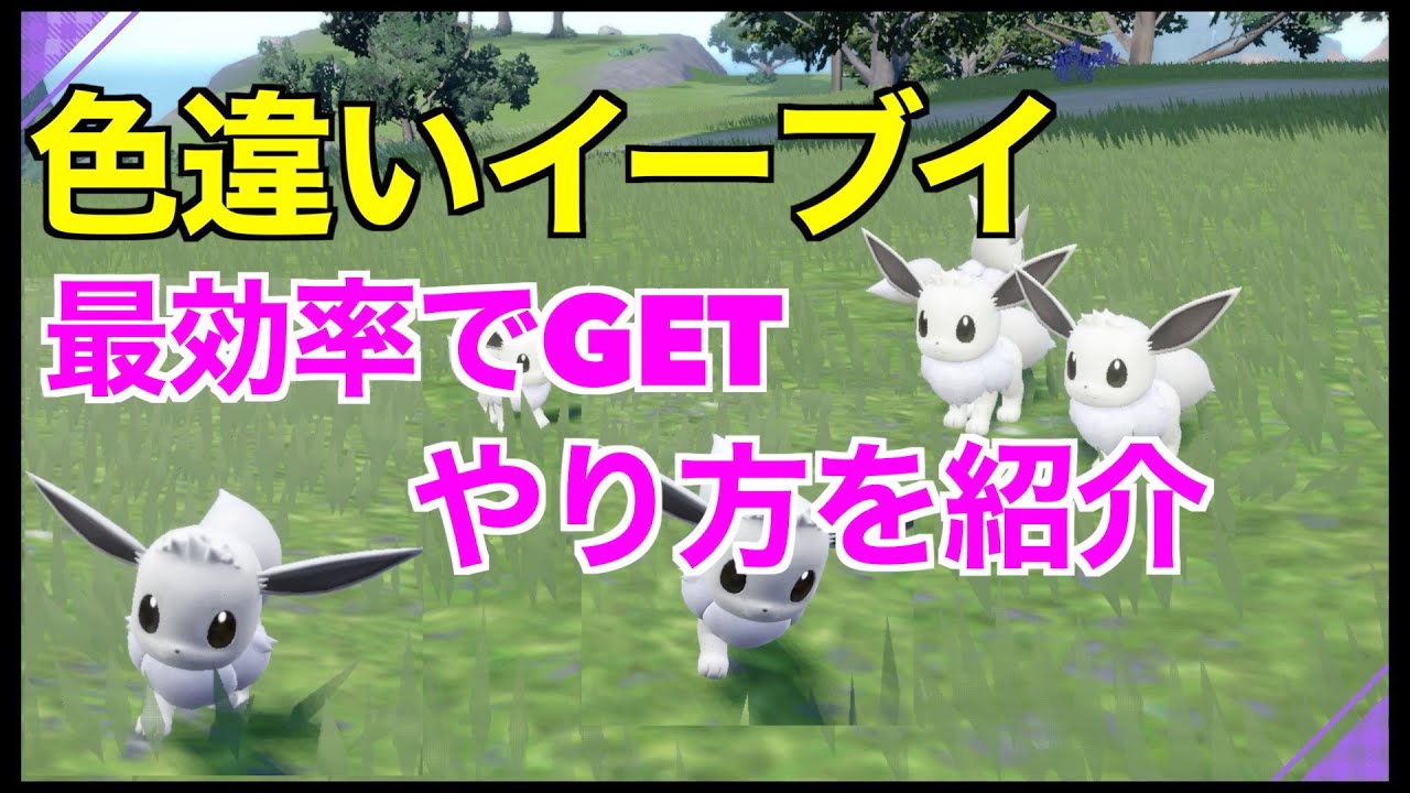 【色違いポケモン】色違いイーブイ15分で入手！誰でも簡単に乱獲できる方法を紹介！大量発生の出し方とサンドイッチの作り方も！【ポケモンSV】