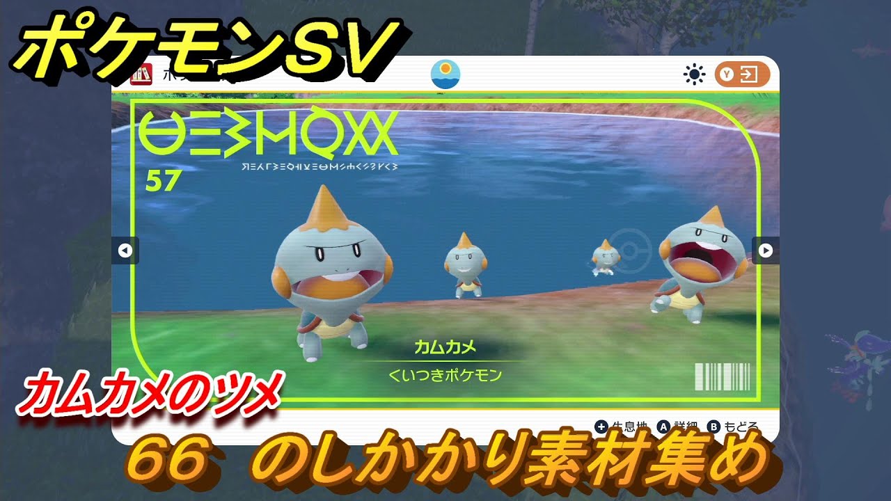 ポケモンＳＶ　わざマシン６６　のしかかり素材集め　カムカメのツメの入手方法は？　【スカーレット・バイオレット】