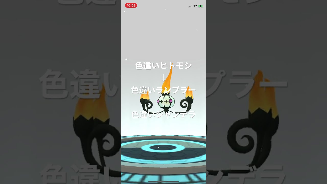 ポケモンGO 色違いヒトモシを色違いランプラー、色違いシャンデラへと進化！