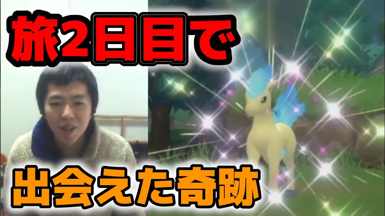 【ポケモンBDSP】ストーリー配信中に色違いのポニータに遭遇しました！！！！！【ポケモンダイパリメイク】【1/4096の奇跡】
