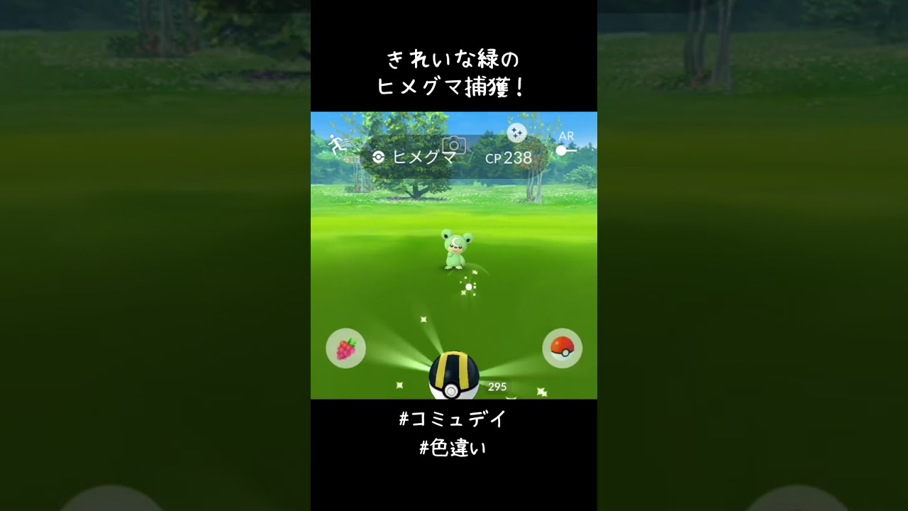きれいな緑のヒメグマ捕獲✨✨✨かわいい！！#ポケモンGO #PokemonGOCommunityDay #色違い