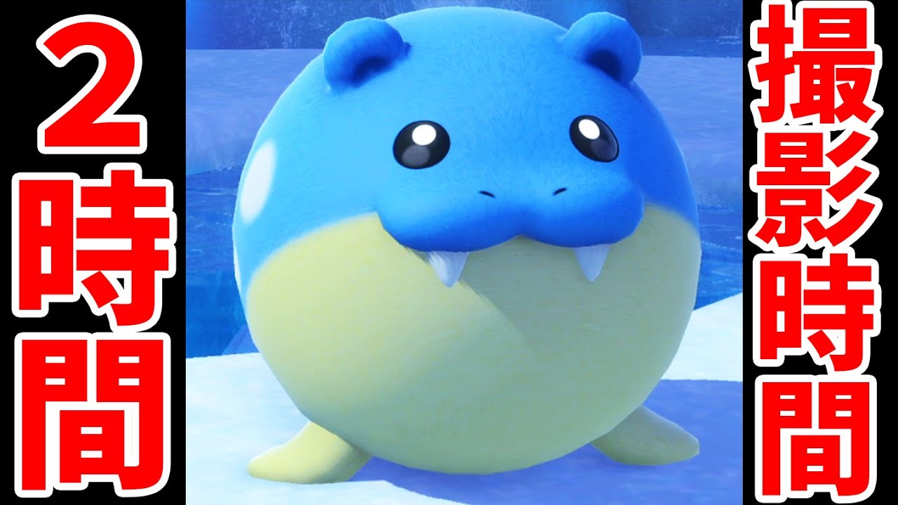 【過酷】タマザラシの☆4レア写真を撮りたかっただけなのにこのゲームの恐ろしさを知りました【New ポケモンスナップ】