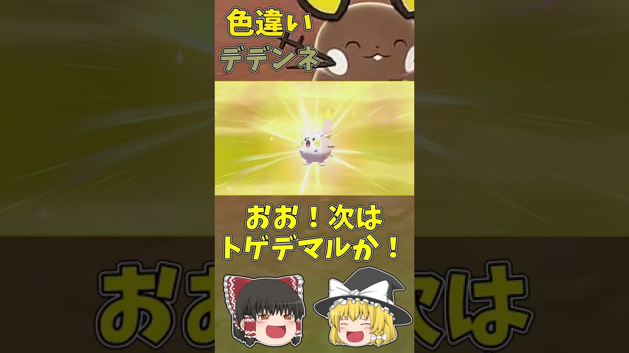 デデンネ内定おめでとう！